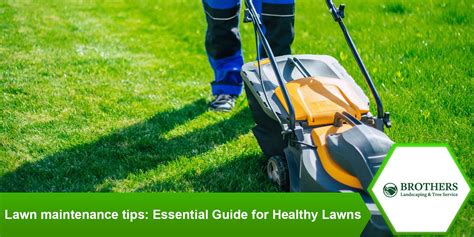 10 Essential Lawn Tech Tips For A Perfect Landscape