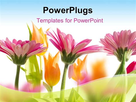 10 Fresh Spring Powerpoint Templates To Boost Your Presentation