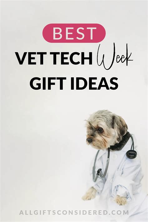 10 Gift Ideas For Vet Techs To Show Appreciation