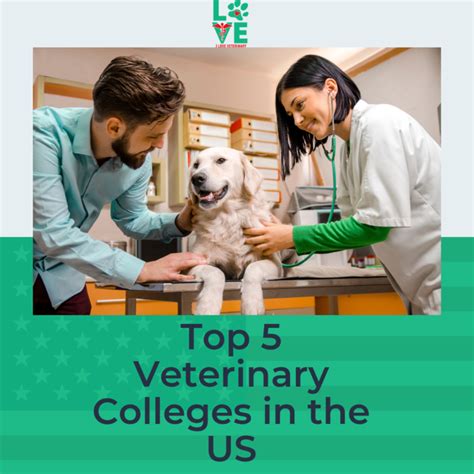 5 Best Vet Tech Programs In Nebraska