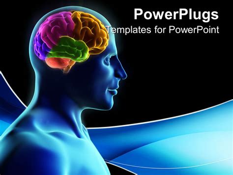 5 Brain Templates For Powerpoint Presentations