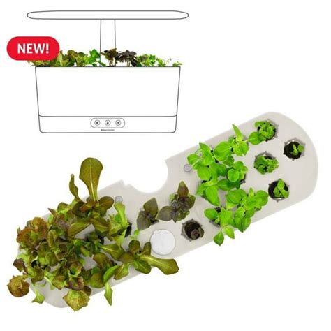 5 Easy Aerogarden Seed Starter Templates