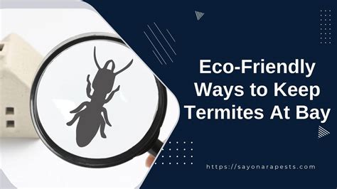 5 Eco-Friendly Ways To Control Termites And Pests