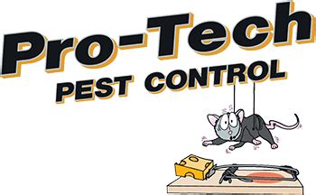 5 Effective Ways Pro Tech Pest Control Works