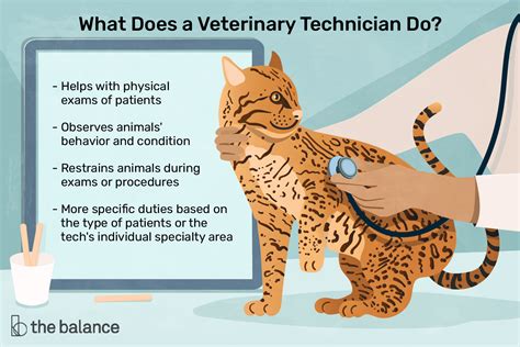 5 Facts About Vet Tech Euthanasia Responsibilities