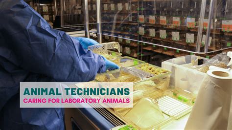 5 Innovative Lab Animal Tech Trends