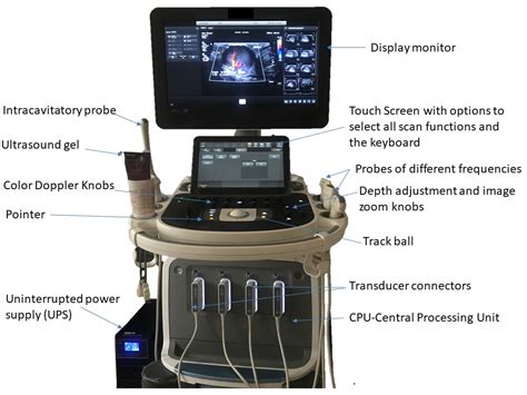 5 Key Components Of Ultrasound Tech Curriculum