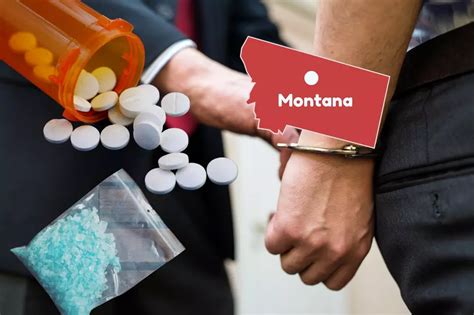 5 Shocking Facts About Montana Techs Largest Drug Bust