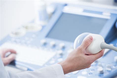 5 Steps To Vet Tech Ultrasound Certification