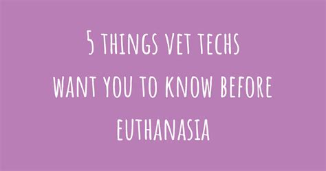 5 Things Vet Techs Wish You Knew About Euthanasia