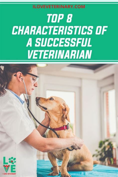 5 Traits Of A Top Vet Tech Like Trent Taylor