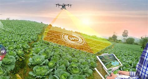 5 Ways Ag Tech Services Boost Farm Productivity