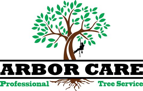 5 Ways Arborcare Tech Enhances Tree Care Services