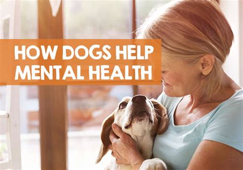 5 Ways Black Dog Tech Improves Mental Health