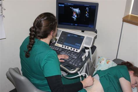 5 Ways Gwinnett Tech Sonography Program Prepares You