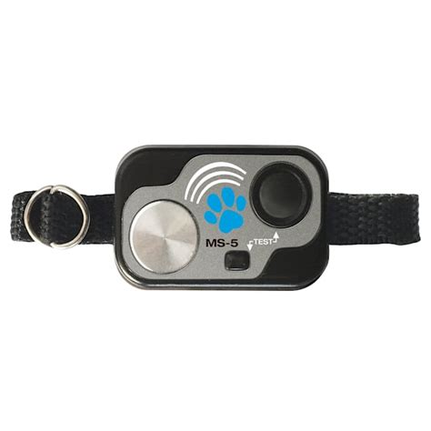 5 Ways High Tech Pet Collars Improve Pet Care