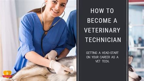 5 Ways Laguardia Vet Tech Can Jumpstart Your Career