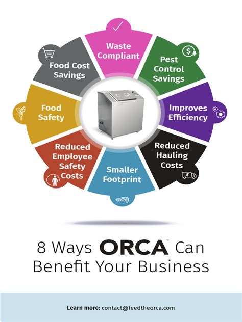 5 Ways Orca Tech Innovates Business Solutions