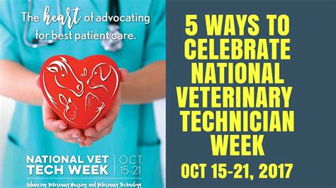 5 Ways To Celebrate Happy Vet Tech Week