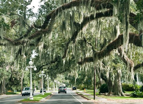 5 Ways To Explore Bayou Teche Scenic Byway