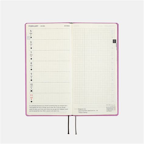 5 Ways To Plan With Hobonichi Techo Weeks 2024