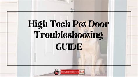 5 Ways To Troubleshoot Your Hi Tech Pet Door