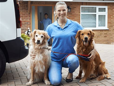 5 Ways Vet Techs Can Offer Pet Sitting Services