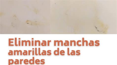 6 Causas Comunes De Manchas Amarillas En Techos