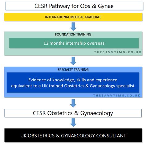 6 Steps To Become An Ob Tech