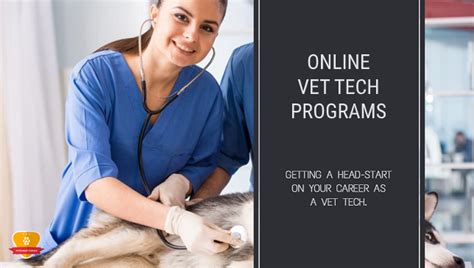 6 Ways Nova Vet Tech Program Prepares You