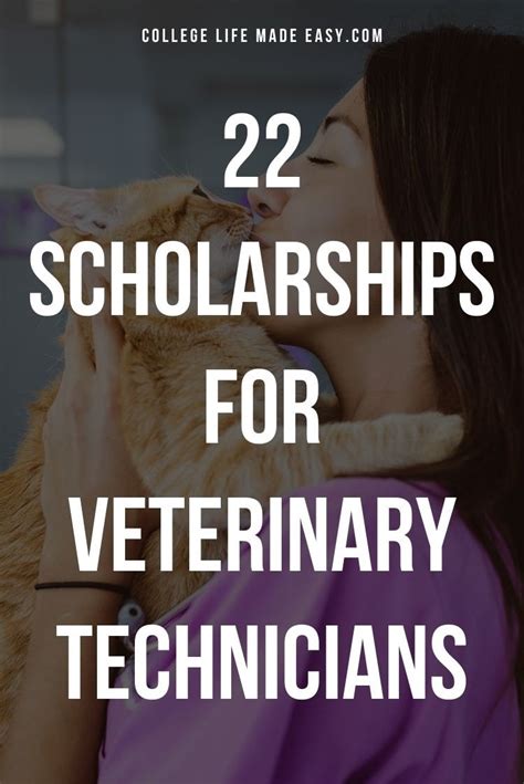 7 Scholarships For Vet Tech Students