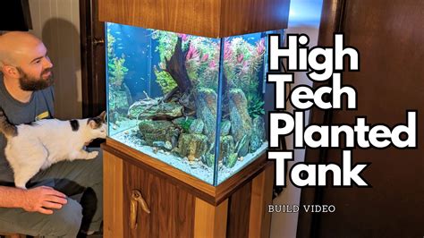 7 Tips For A Thriving High-Tech Planted Aquarium