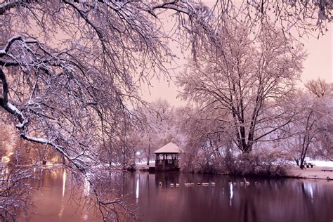 7 Tips For Visiting Duck Pond At Virginia Tech