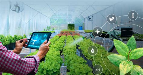 7 Ways Hort Tech Is Revolutionizing Farming