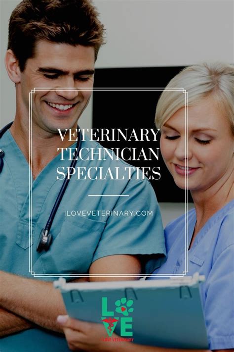 8 Veterinary Tech Specialties You Need To Know