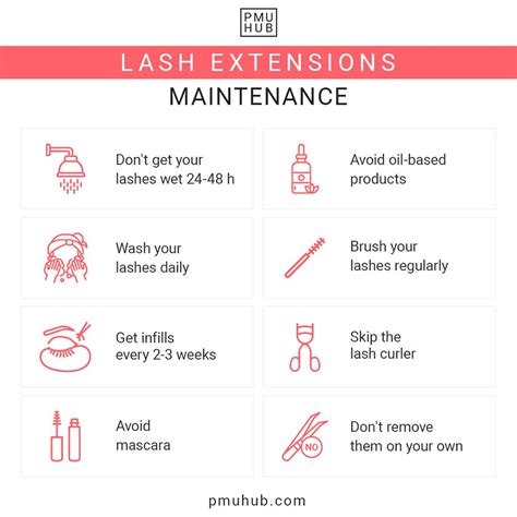 Become A Lash Tech In Tennessee: A Step-By-Step Guide