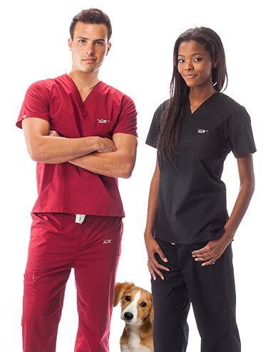 Best Scrubs For Vet Techs: Comfort And Practicality