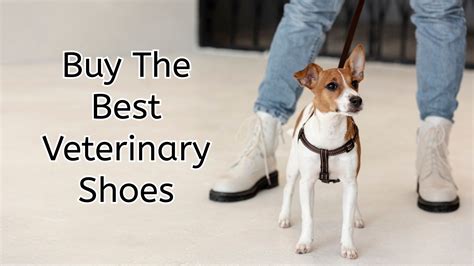 Best Shoes For Vet Techs On The Job