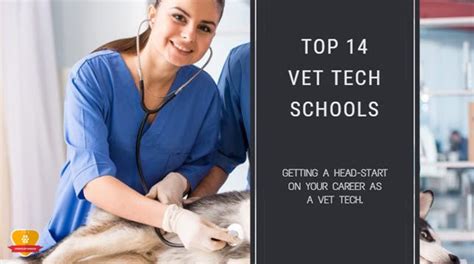 Best Vet Tech Schools In Nebraska