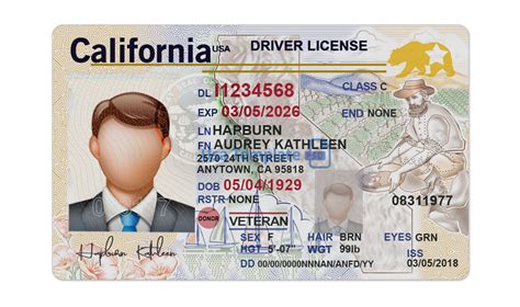 California Drivers License Template Psd Free Download