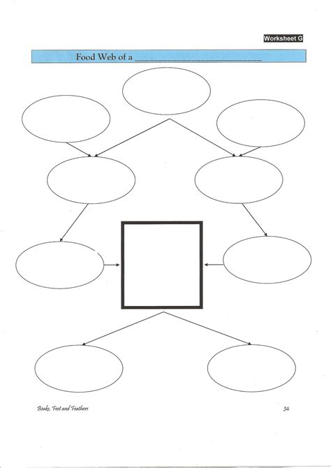 Create A Blank Food Web Template In 5 Easy Steps