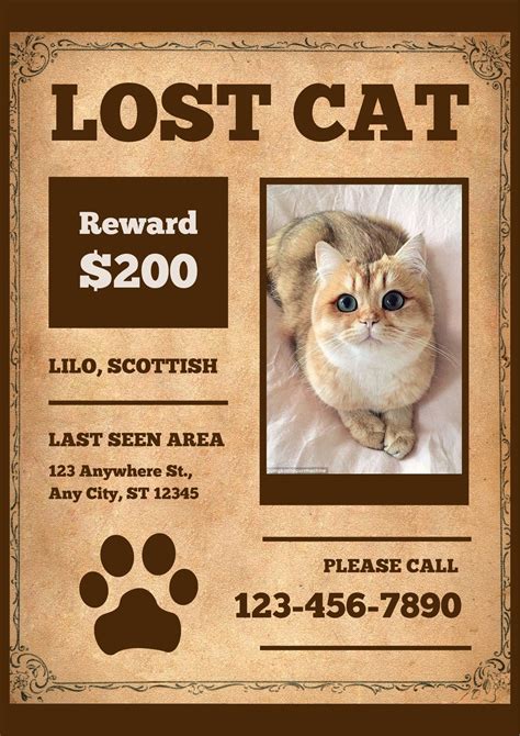 Create A Lost Cat Poster Template In Microsoft Word