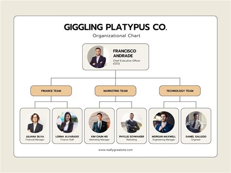 Create A Professional Org Chart With 5 Editable Templates