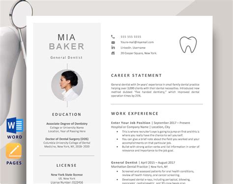 Dentist Cv Template Word Example And Guide