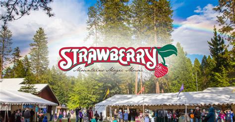 Discover The Sweetness Of Strawberry Techno Music Today