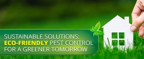 Eco-Friendly Pest Control Solutions For A Greener Tomorrow