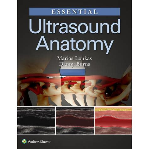 Essential Ultrasound Tech Books For Beginners