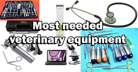 Essential Vet Tech Accessories For Animal Care