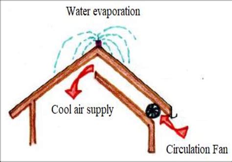 Evaporative Roof Cooling: The Ultimate Summer Solution