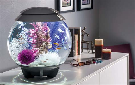 Exploring The Future Of High Tech Aquariums